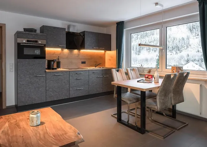 Frese Apartamento Willingen (Upland)